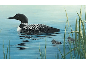 Loon painting by Leonette Ford.